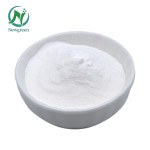 Best Price Food Supplement Probiotics Streptococcus Thermophilus