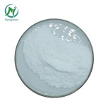 High Quality Raw Material 99% Food Grade Probiotics Streptococcus Salivarius Powder in Bulk