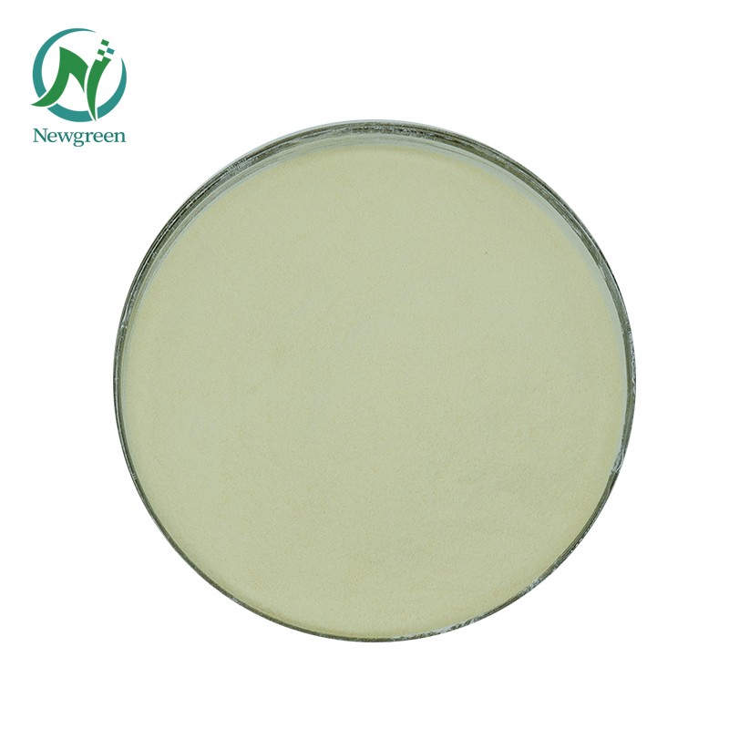 Newgreen Supply High Quality Food Additives Apple Pectin Powder Bulk