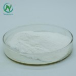 Newgreen Supply Food Grade 99%  Lactic Acid Powder