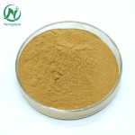 Factory Supply Top Quality Shikakai Extract Powder Shikakai Powder for Hair