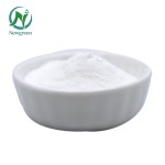 Newgreen Supply Natural Sweetener Thaumatin 99% Cas 53850-34-3 Thaumatin Powder