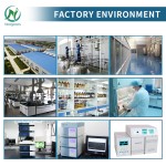 Newgreen Factory OEM Private Cistanche Tubulosa Extract Capsules Cistanche Tubulosa Capsule
