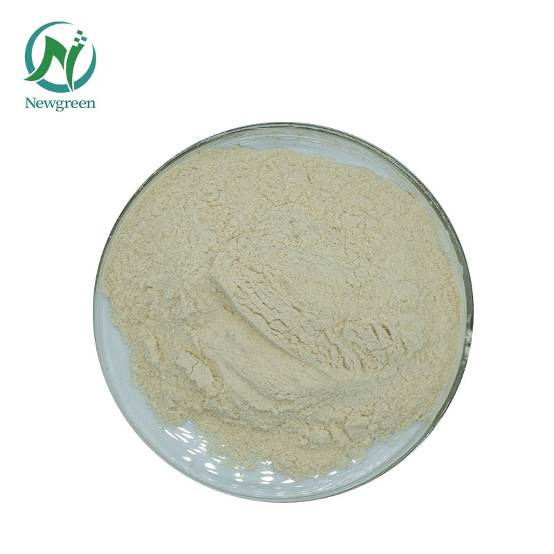 Newgreen High Quality Food Grade Sunflower Lecithin Price