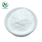 Supply Probiotics Powder Lactobacillus Paracasei Probiotics With Best Price
