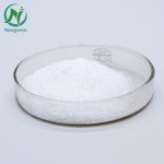 Best Price Probiotics Lactobacillus Salivarius Powder