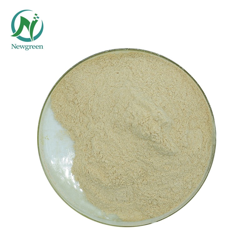 Newgreen Arachidonic Acid Powder ARA 10% Arachidonic Acid Price Bulk Arachidonic Acid Powder