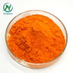 Wholesale 98% Natural Aloe Vera Extract Good Quality Herbal Powder Aloe-Emodin HPLC Test Method Packaged in Drums