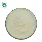 Newgreen Manufacturer Supply High Quality Food Additives Modified Citrus Pectin Powder