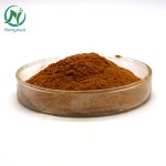 Newgreen Supply 20% 30% Arbutin Uva Ursi Leaf Extract for Skin Whitening