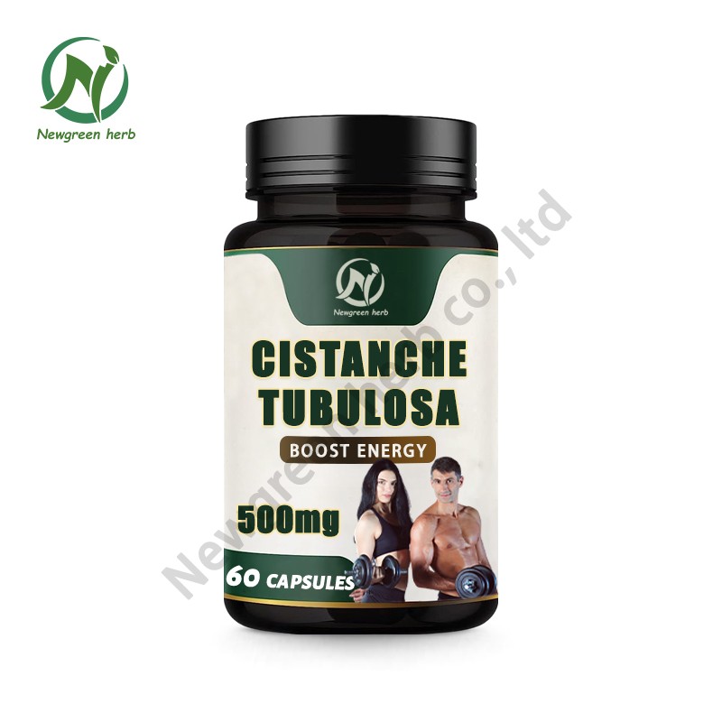 Newgreen Factory OEM Private Cistanche Tubulosa Extract Capsules Cistanche Tubulosa Capsule