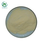 Newgreen Bulk Low Sugar Pectin Food Grade Best Price Apple Pectin 1KG