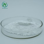 High Quality Raw Material 99% Food Grade Probiotics Streptococcus Salivarius Powder in Bulk