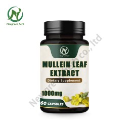 Newgreen Factory OEM Private Label Mullein Leaf Extract Capsules Mullein Leaf Capsule