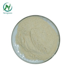 Newgreen Supply High Quality Food Additives Organic Apple Pectin Powder Citrus Pectin Hm Pectin