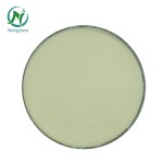 Newgreen Manufacturer Supply High Quality Low Methoxyl Pectin Price Apple Pectin Powder