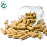 Newgreen Supply Sea Moss Plus Bladderwrack Powder Capsules