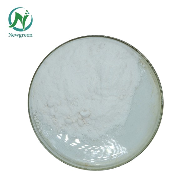 Newgreen Supply High Quality Sweetness Lactose Free of Milk
