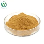 High Quality Panax Notoginseng Root Extract /Radix Notoginseng P.E.