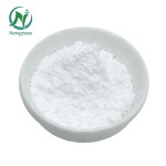 Wholesale Price Waiyama Extract Powder Wild Yam Extract 4:1~20:1 in Bulk