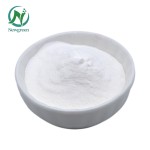 Newgreen Supply High Quality Top Grade 99% Vitamin B5 Powder