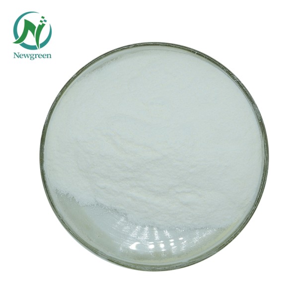 Newgreen Supply Food Grade 99%  Lactic Acid Powder