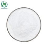 Newgreen Supply High Quality  Food Grade Fructooligosaccharide High Quality Good Price