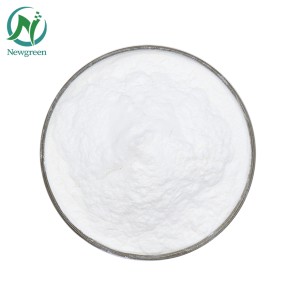 Newgreen Supply High Quality  Food Grade Fructooligosaccharide High Quality Good Price