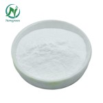 High Quality Food Grade Probiotics Lactobacillus Fermenti Powder