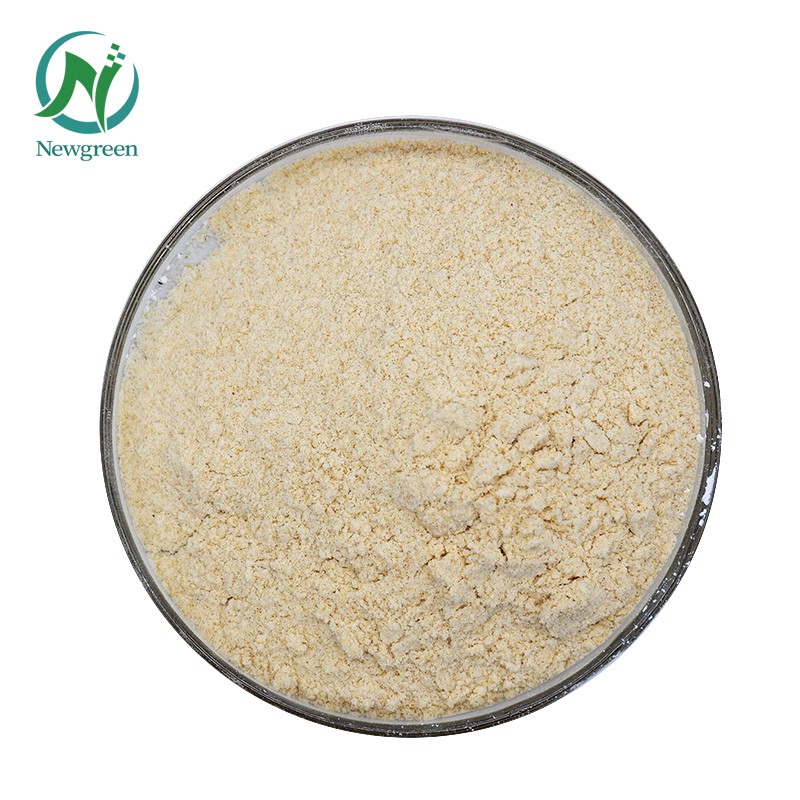 The Merchant Stock Supply Snail Mucus Extract Powder 80 Mesh With Good Price