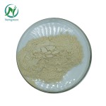 Newgreen Top Quality Lecithin Soy Hydrogenated Lecithin Good Quality Lecithin Soybean