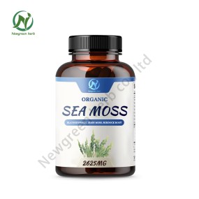 Newgreen Supply Sea Moss Bladderwrack Burdock Capsules