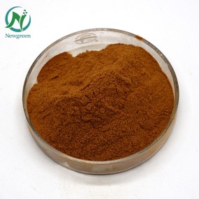 Newgreen Supply 20% 30% Arbutin Uva Ursi Leaf Extract for Skin Whitening