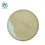 Newgreen Supply High Quality Food Additives Apple Pectin Powder Bulk