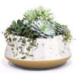 Indoor Planter Manufacturer - Hand Painting Cement Pot