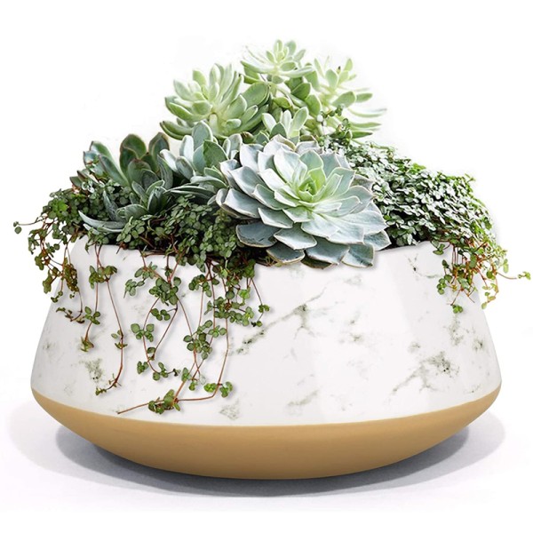 Indoor Planter Manufacturer - Hand Painting Cement Pot