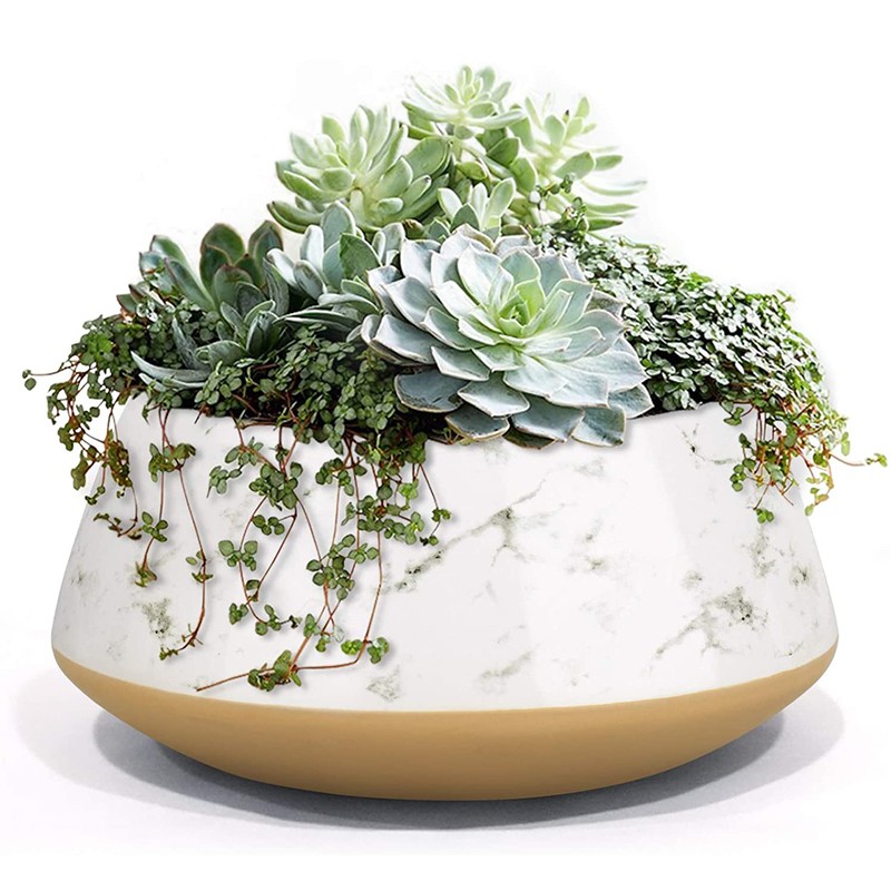 Indoor Planter Manufacturer - Hand Painting Cement Pot