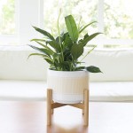 Wall Planter Factory - Hanging Ceramic Succulent Pot