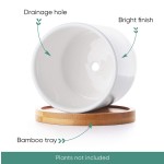 Plant Container Manufacturer - 6.3 Inch Terracotta Pot Set