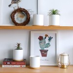 Plant Container Manufacturer - 6.3 Inch Terracotta Pot Set