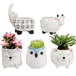 Succulent Pot Factory - Ceramic Garden Pot with Drainage