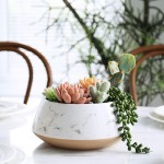 Indoor Planter Manufacturer - Hand Painting Cement Pot
