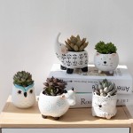 Succulent Pot Factory - Ceramic Garden Pot with Drainage