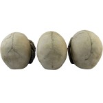 Dancing Skeleton Factory - Hand Painted Gothic Lovers Figurine