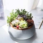 Cement Planter Factory - Nordic Modern Garden Pot