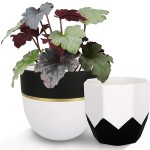 Outdoor Planter Manufacturer - Ceramic Plant Flower Pot