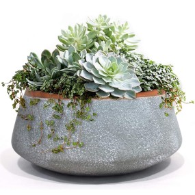 Cement Planter Factory - Nordic Modern Garden Pot