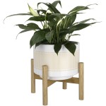 Wall Planter Factory - Hanging Ceramic Succulent Pot