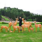 Outdoor Statue Manufacturer - Fiberglass Deer Garden Sculpture