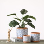 Animal Planter Factory - Cute Ceramic Succulent Pot